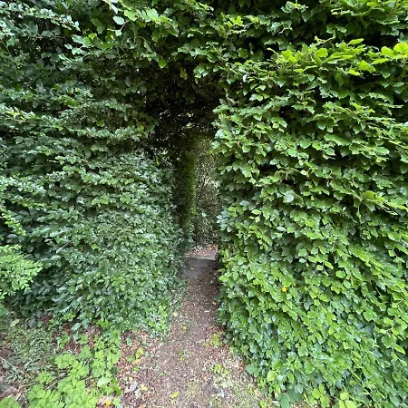 Vakantiehuis Shelley *