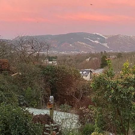 Shelley * Keswick (Cumbria)